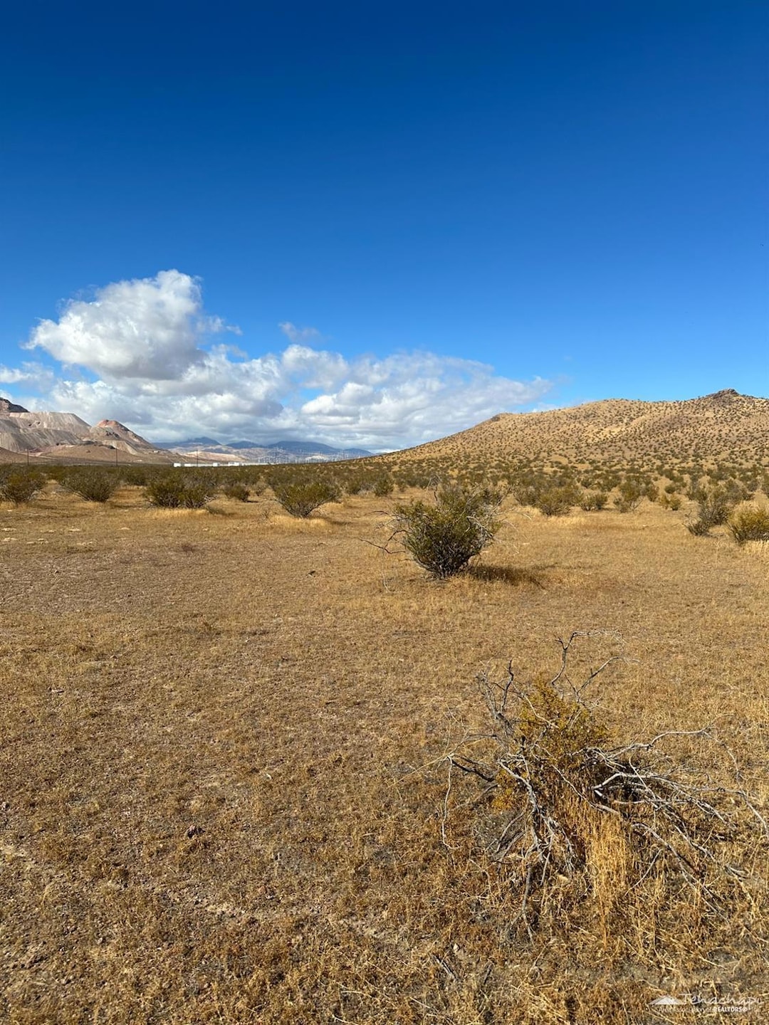 0 Sec 03 Twn 10 Rng 12 unit 9992654, Mojave, CA 93501 - photo 1