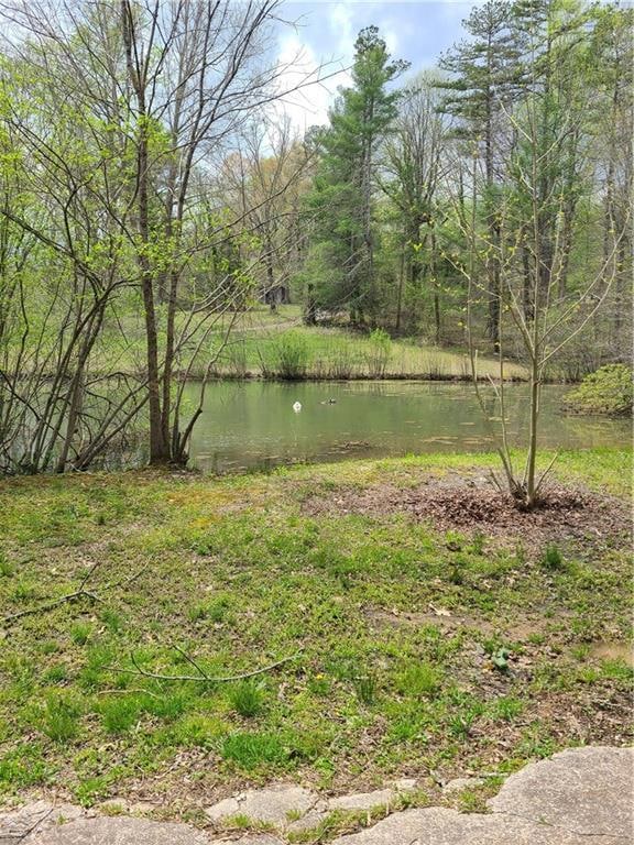 Beautiful pond on the property