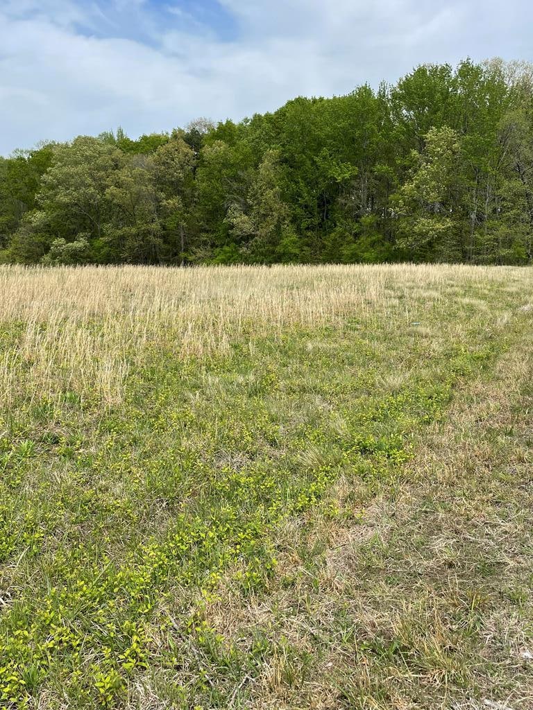 For Sale $115,000