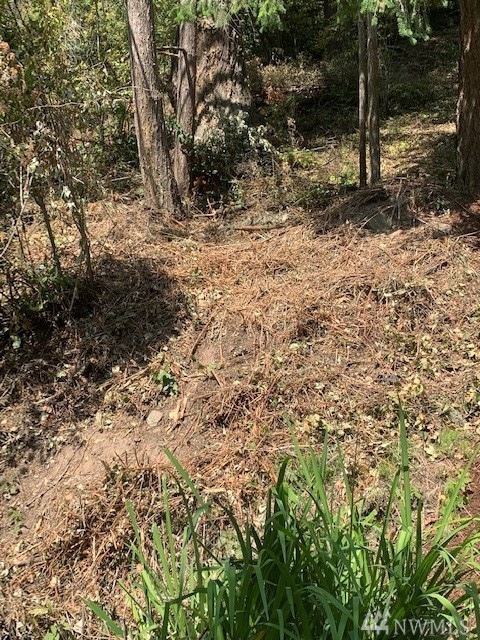 1693 Pebble Beach Trail, Bellingham, WA 98226 - photo 1