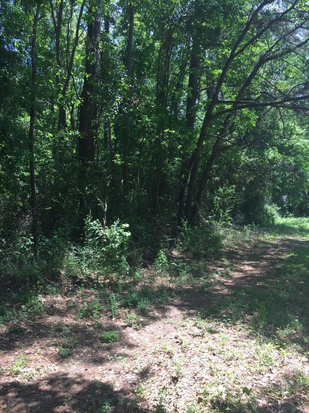 0 Hazel Rd unit 20032806, Charleston, SC 29407 - photo 1