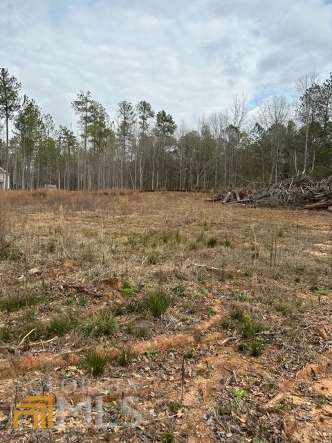 1015 Laney Rd, Locust Grove, GA 30248 - photo 1