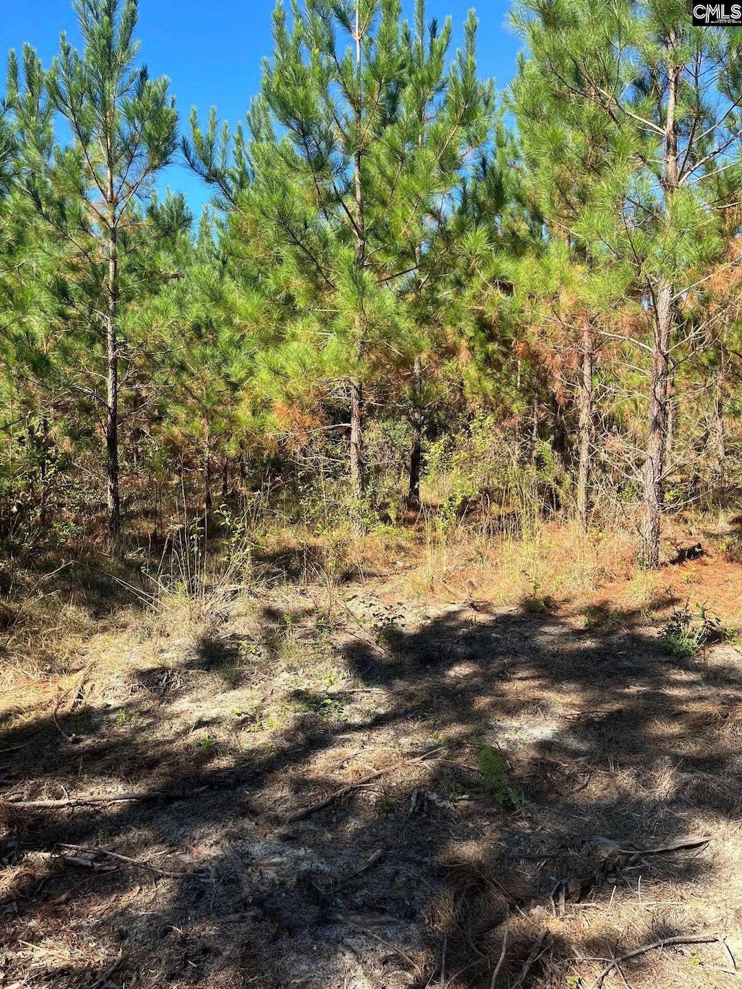 Bff 1e Brunson Teal Rd unit Bff 1e, Patrick, SC 29584 - photo 1