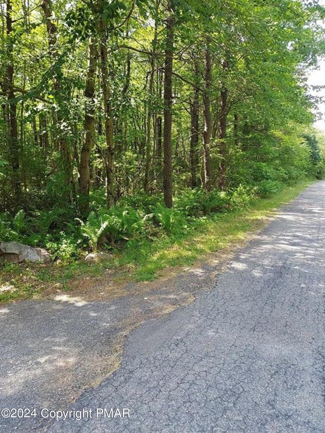 0 N Dr unit PM-116531, Jim Thorpe, PA 18229 - photo 1