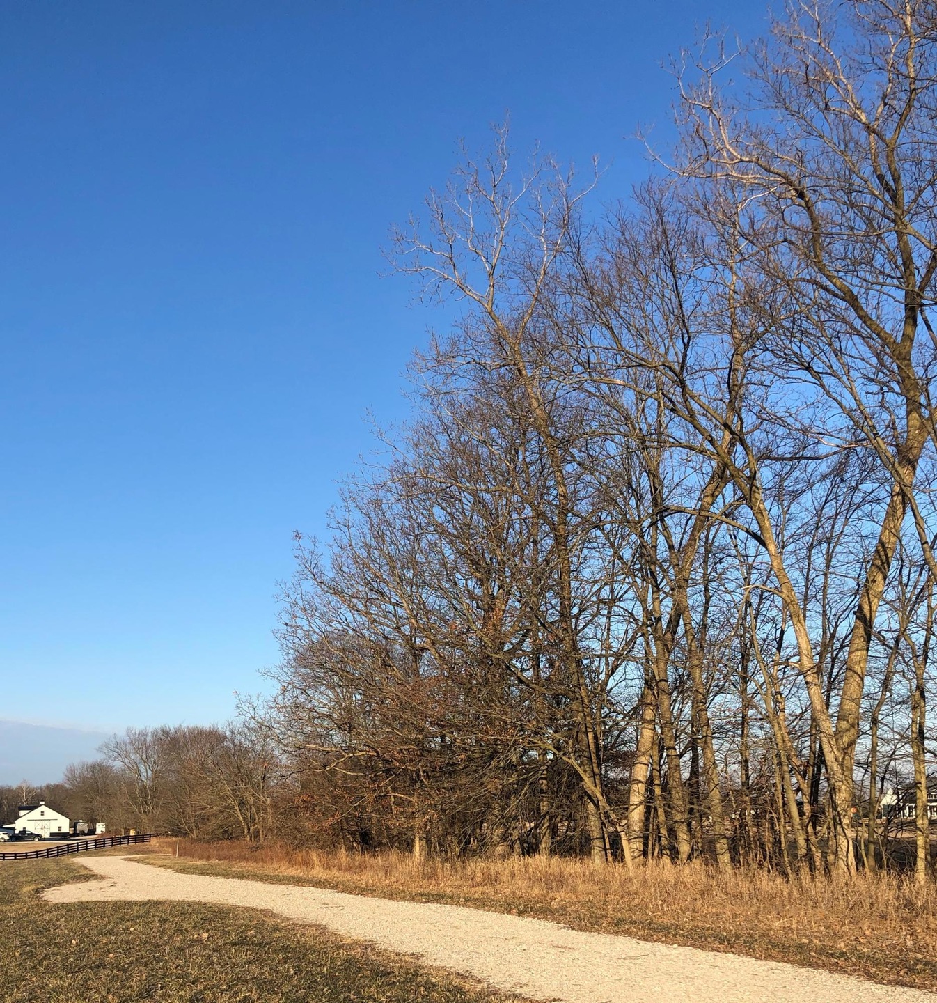 Turn around on Driveway