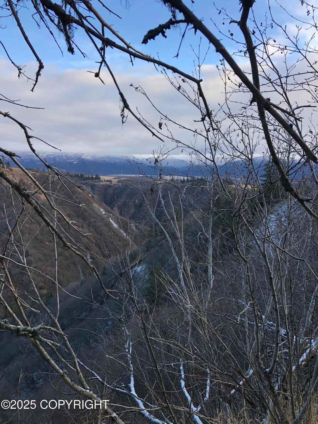 82-215 Alaska State Land Survey, Homer, AK 99603 - photo 1