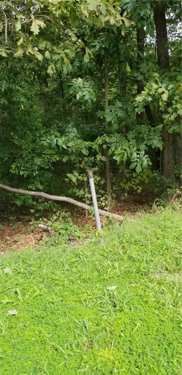 8 Weston Ln, Bella Vista, AR 72715 - photo 1