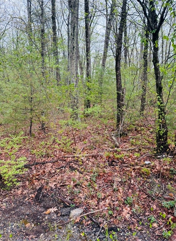 For Sale $69,900 • Co-Listing Agent