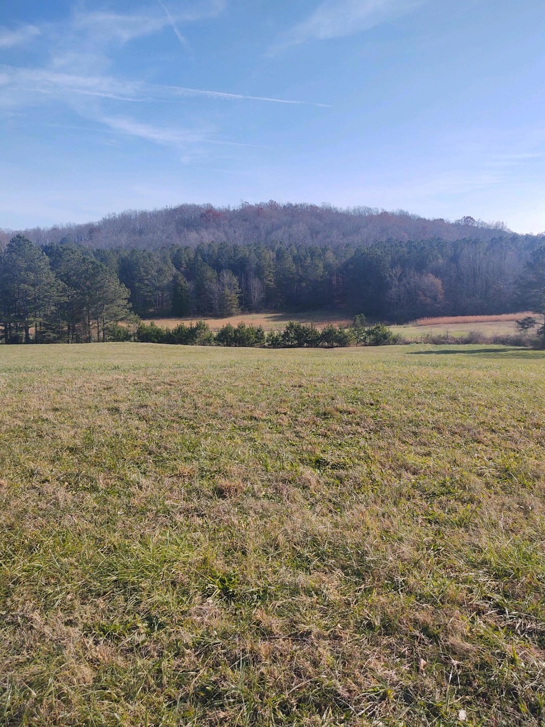 00 Lafayette Rd, Rocky Face, GA 30740 - photo 1