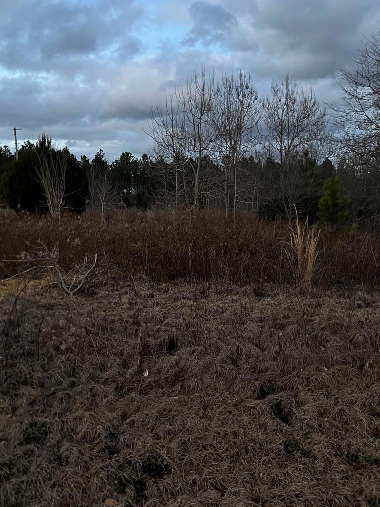 818 McMath Mill Road Extension, Americus, GA 31709 - photo 1