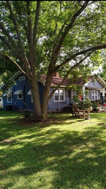 Main View