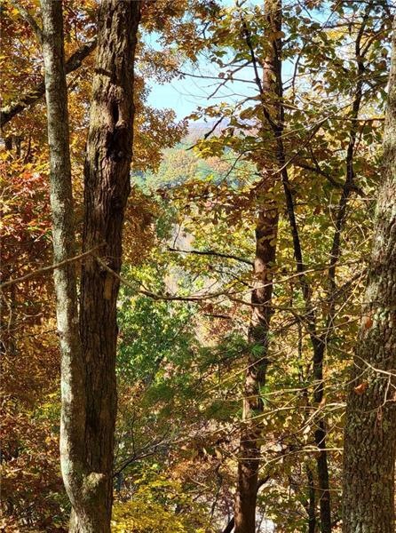 0 Briar Creek Rd unit 7137559, Ellijay, GA 30540 - photo 1