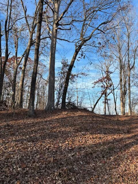 201 Oconee Ave, Chickasaw Point, SC 29693 - photo 1