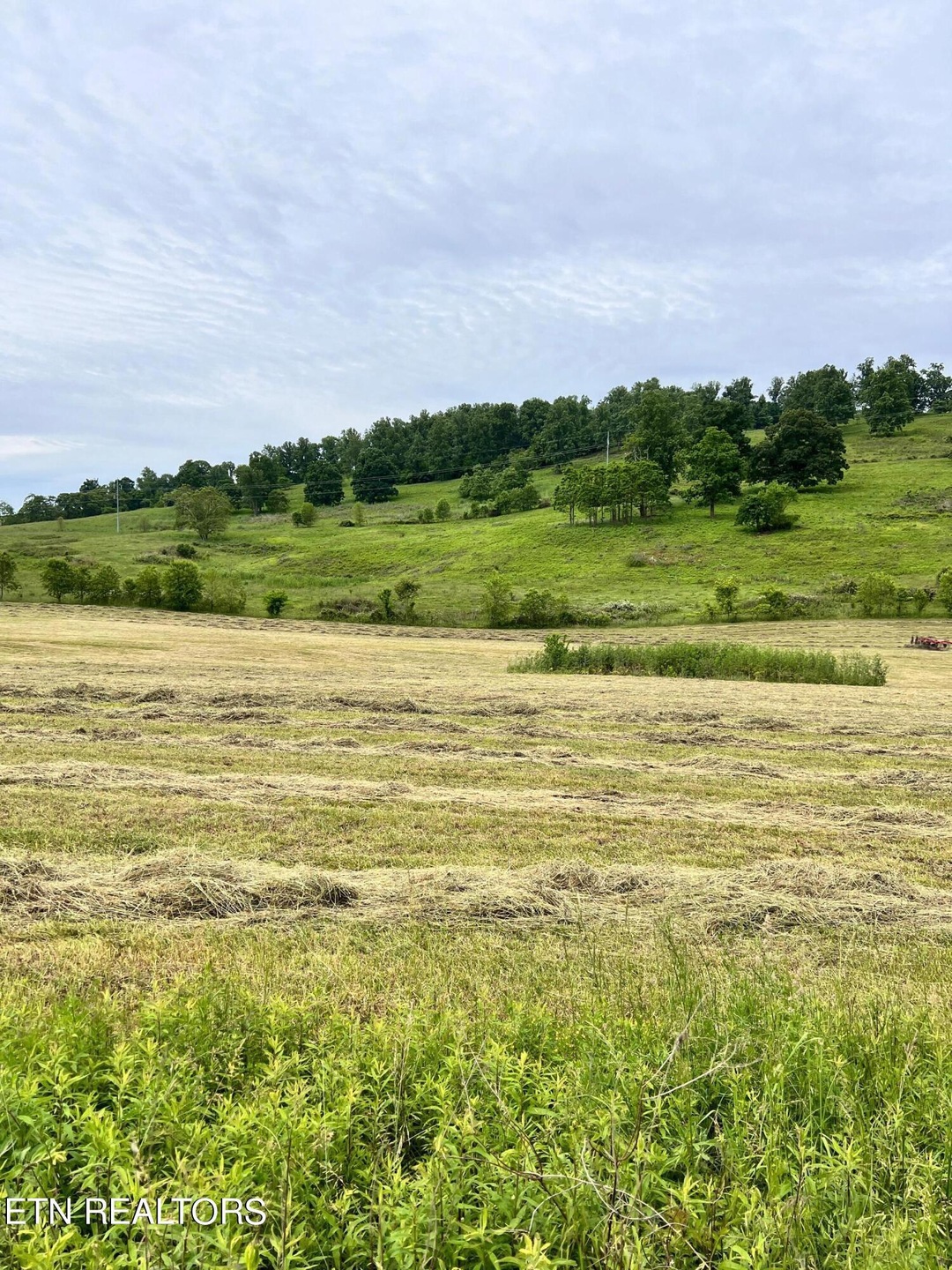 Tract 6 Highway 92, Rutledge, TN 37861 - photo 1