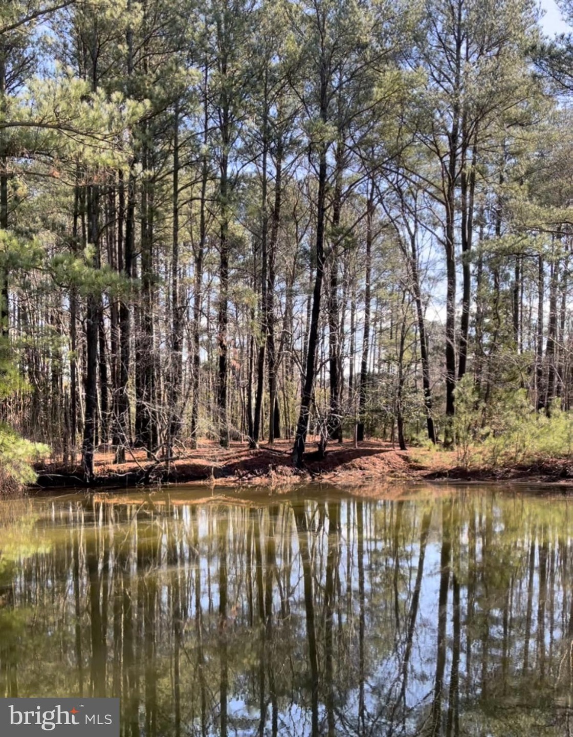 102 Port Arthur Ct, Berlin, MD 21811 - photo 1