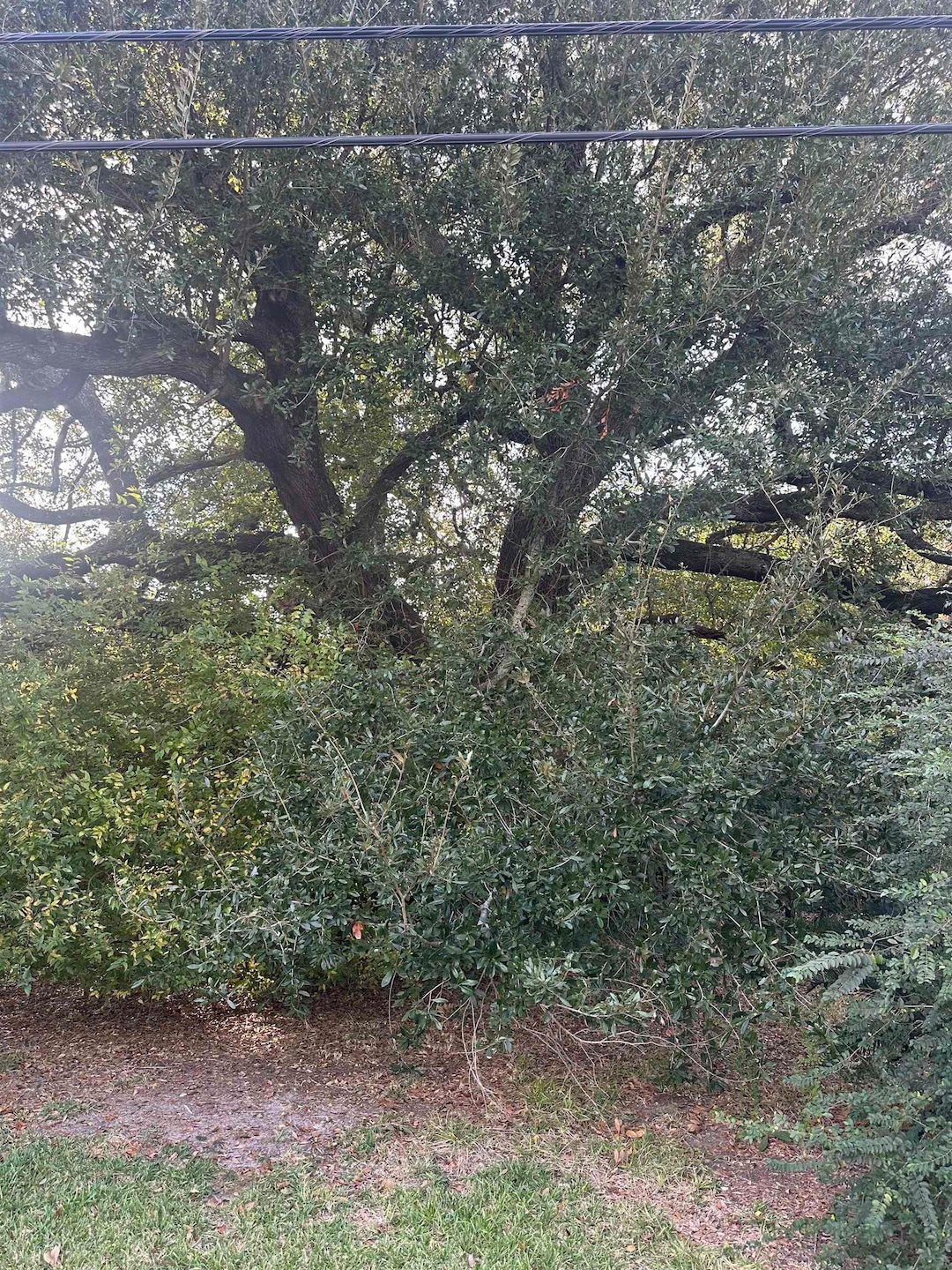 For Sale $162,500 • Co-Listing Agent