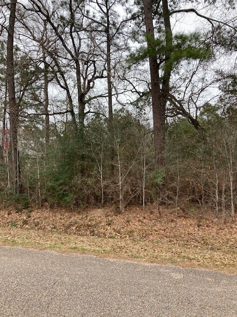 0 Lazy Hollow Ln, Hockley, TX 77447 - photo 1