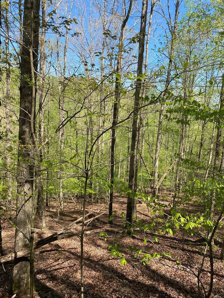 L409 Summit Ln, Ellijay, GA 30540 - photo 1