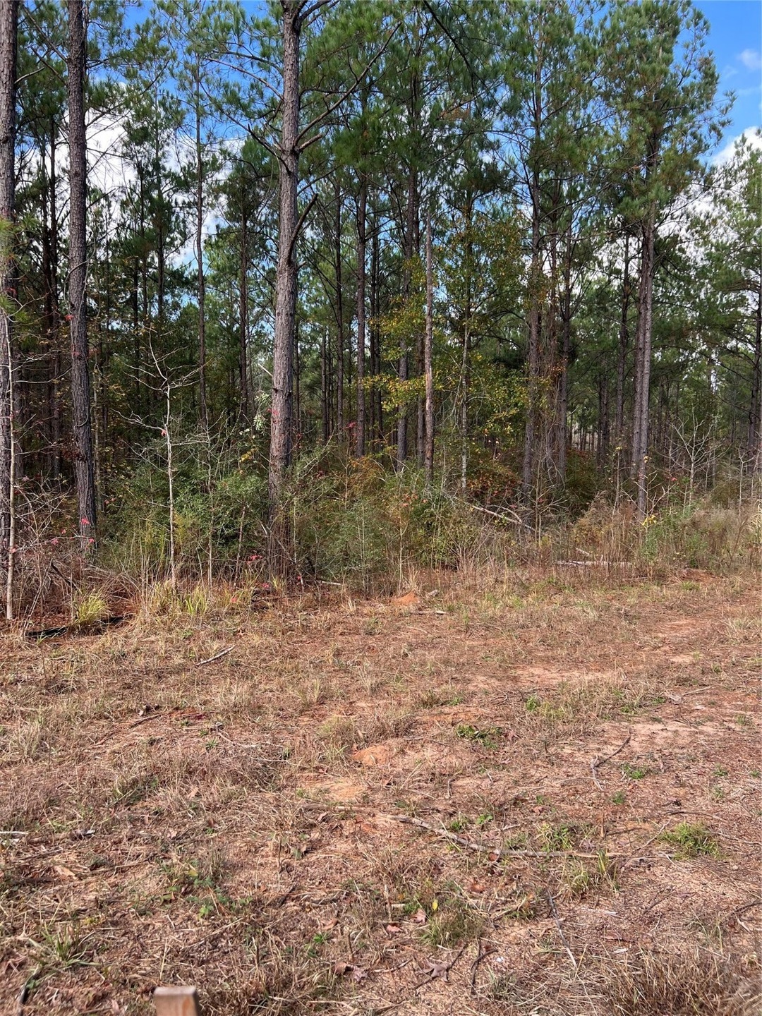 TBD County Rd 1055 Tract 7, Kennard, TX 75847 For Sale