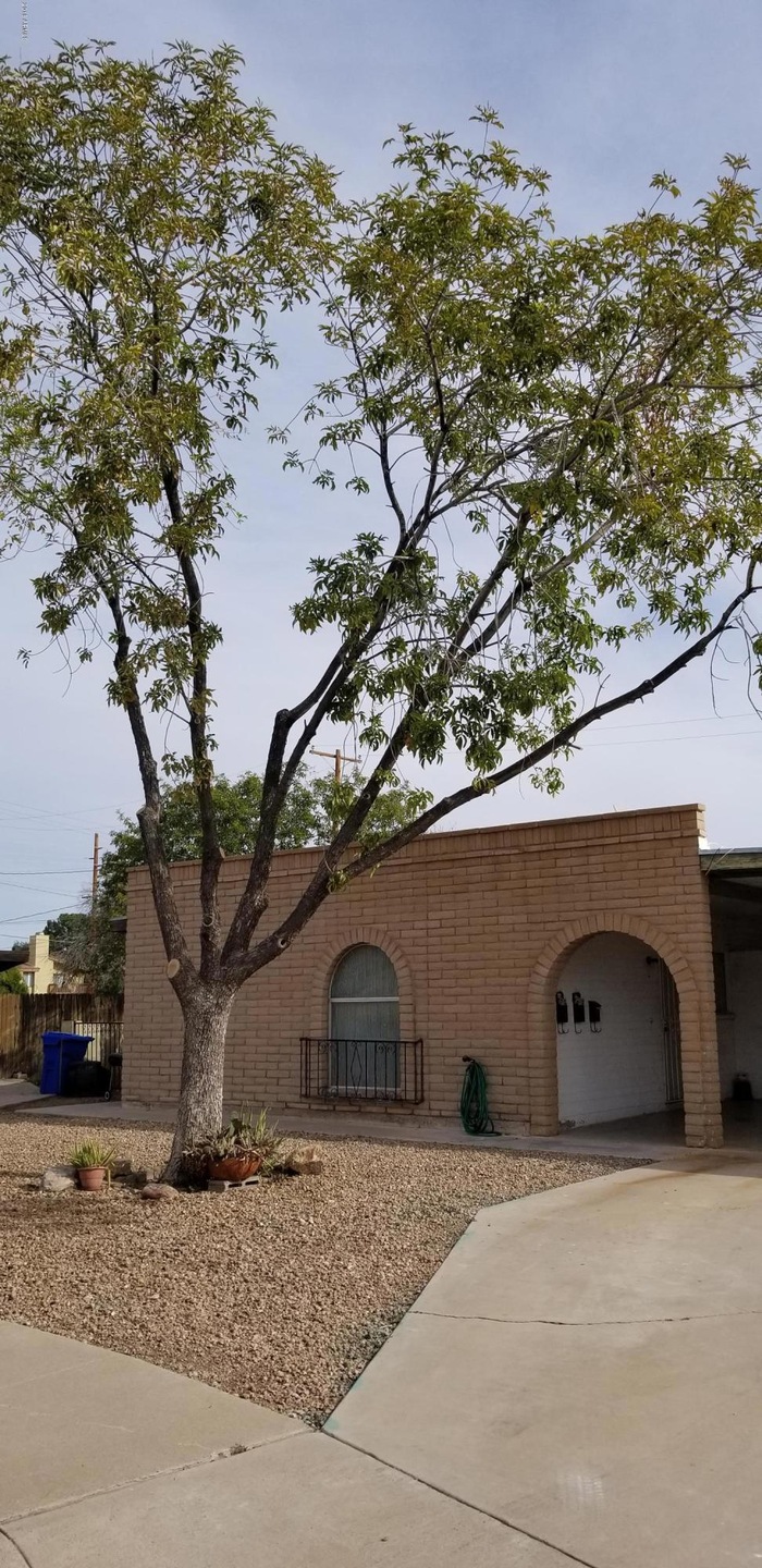 1141 N April Cir unit C, Mesa, AZ 85203 - photo 1