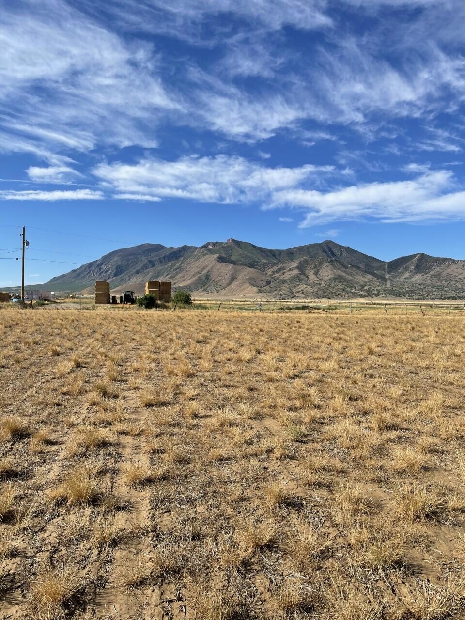 Scipio Lot 1 1