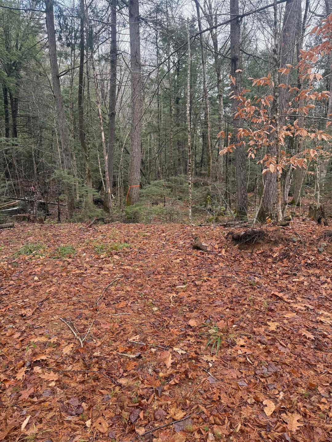 00 Partridge Hill Rd unit 17, Sandwich, NH 03227 - photo 1