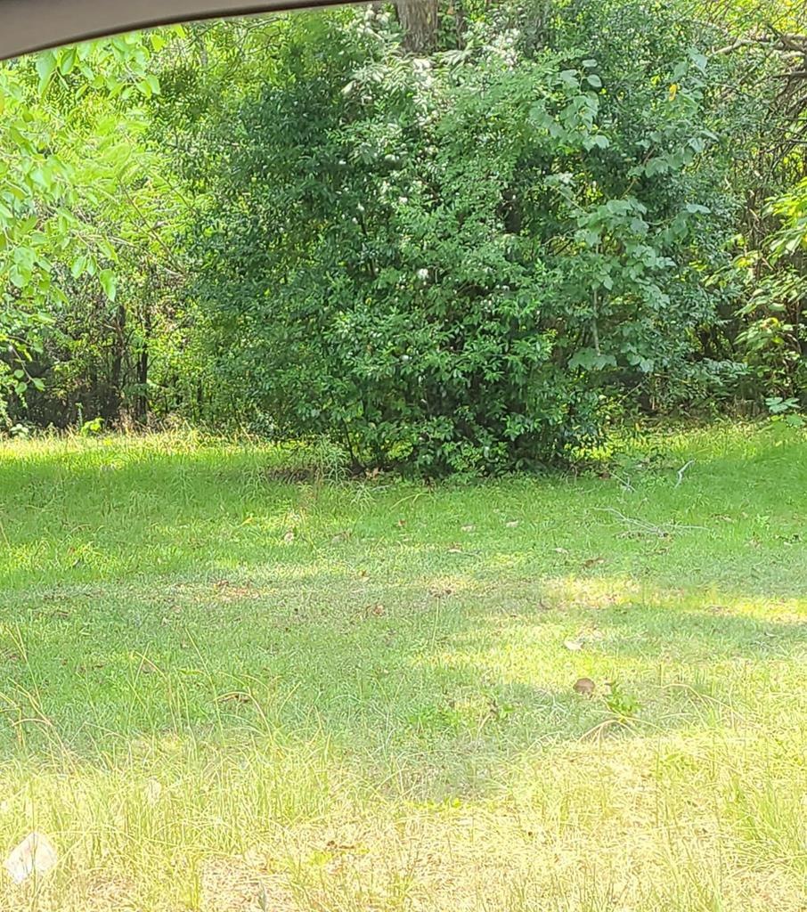 1002 E Ward St, Douglas, GA 31533 - photo 1