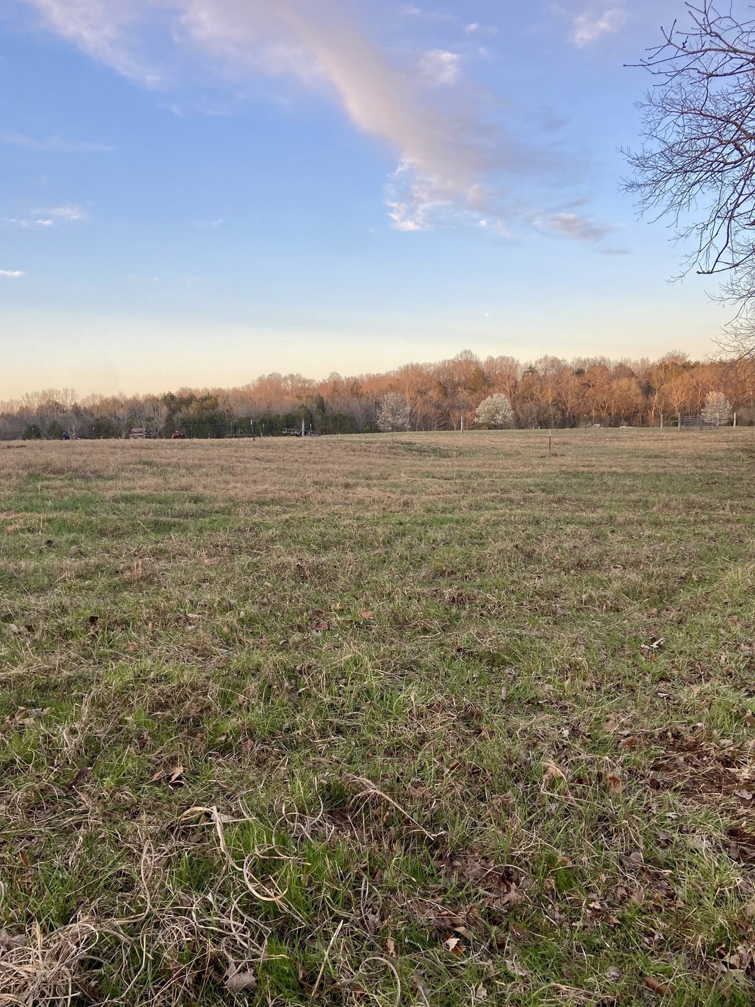 2525 Verona Caney Rd, Lewisburg, TN 37091 - photo 1