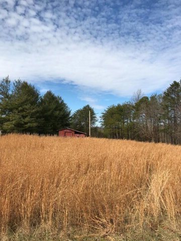 16157 Mount Cross Rd, Dry Fork, VA 24549 - photo 1