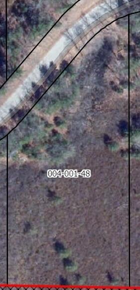 V/L 0 W Crooked Lake Rd, Lake Township, MI 49651 - photo 1