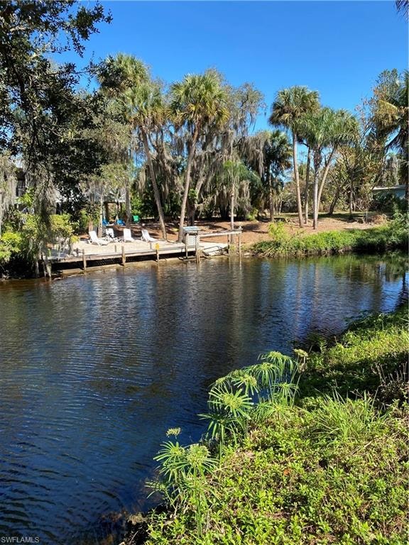 Imperial River view from Imperial Palms