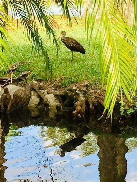 Bird sanctuary
