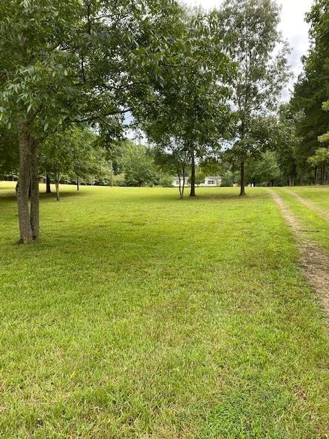 7802 Luthersville Rd, Gay, GA 30218 - photo 1