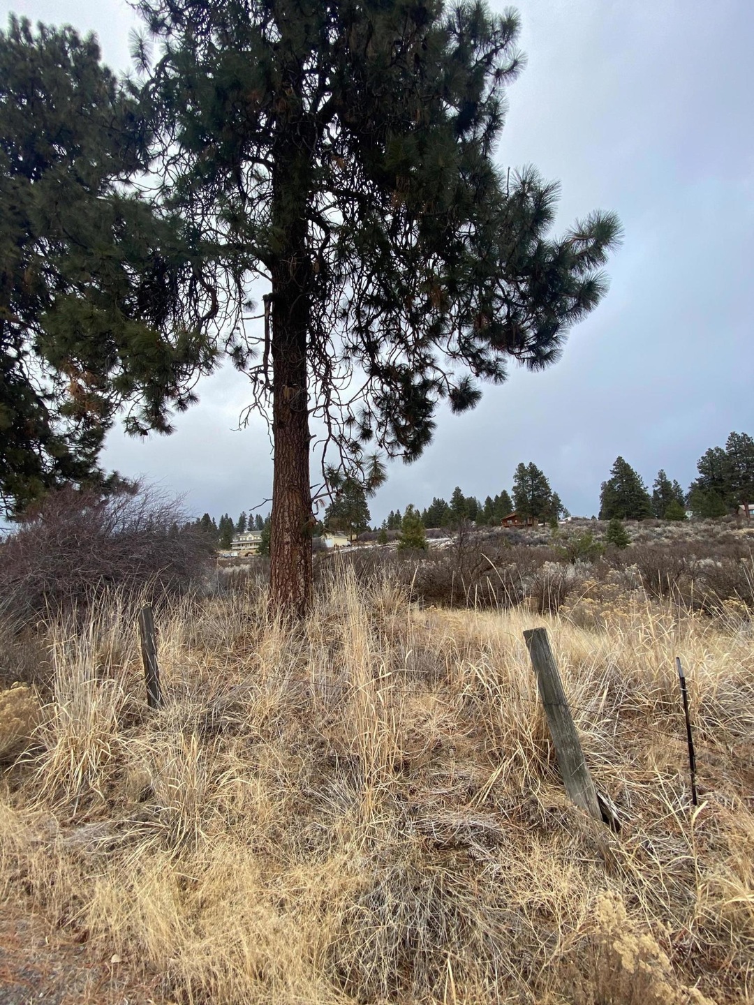 Modoc Point