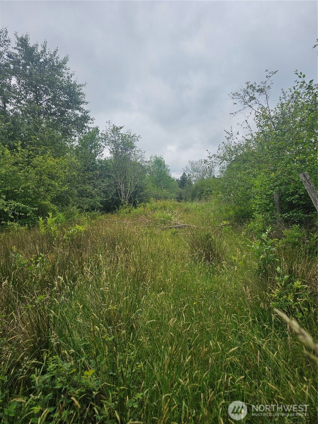 565 Oyler Rd, Ethel, WA 98542 - photo 1