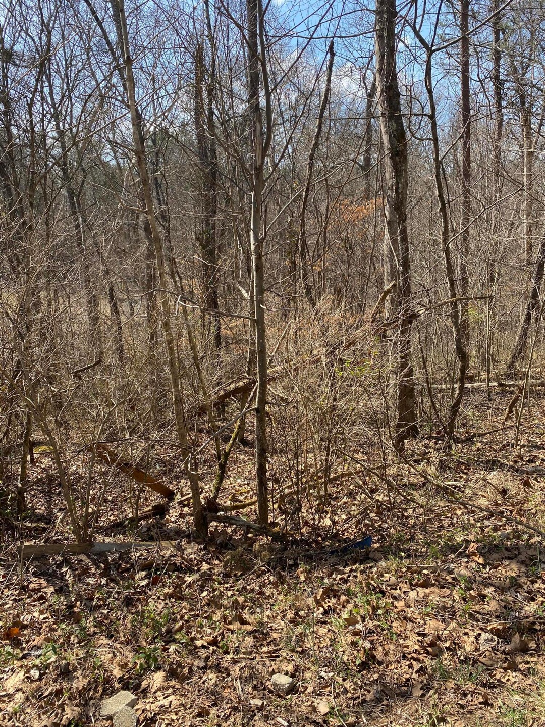 Lot 882 Stonegate Dr unit 3, Burnside, KY 42519 - photo 1