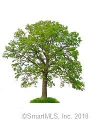 18 Delay Rd, Harwinton, CT 06791 - photo 1