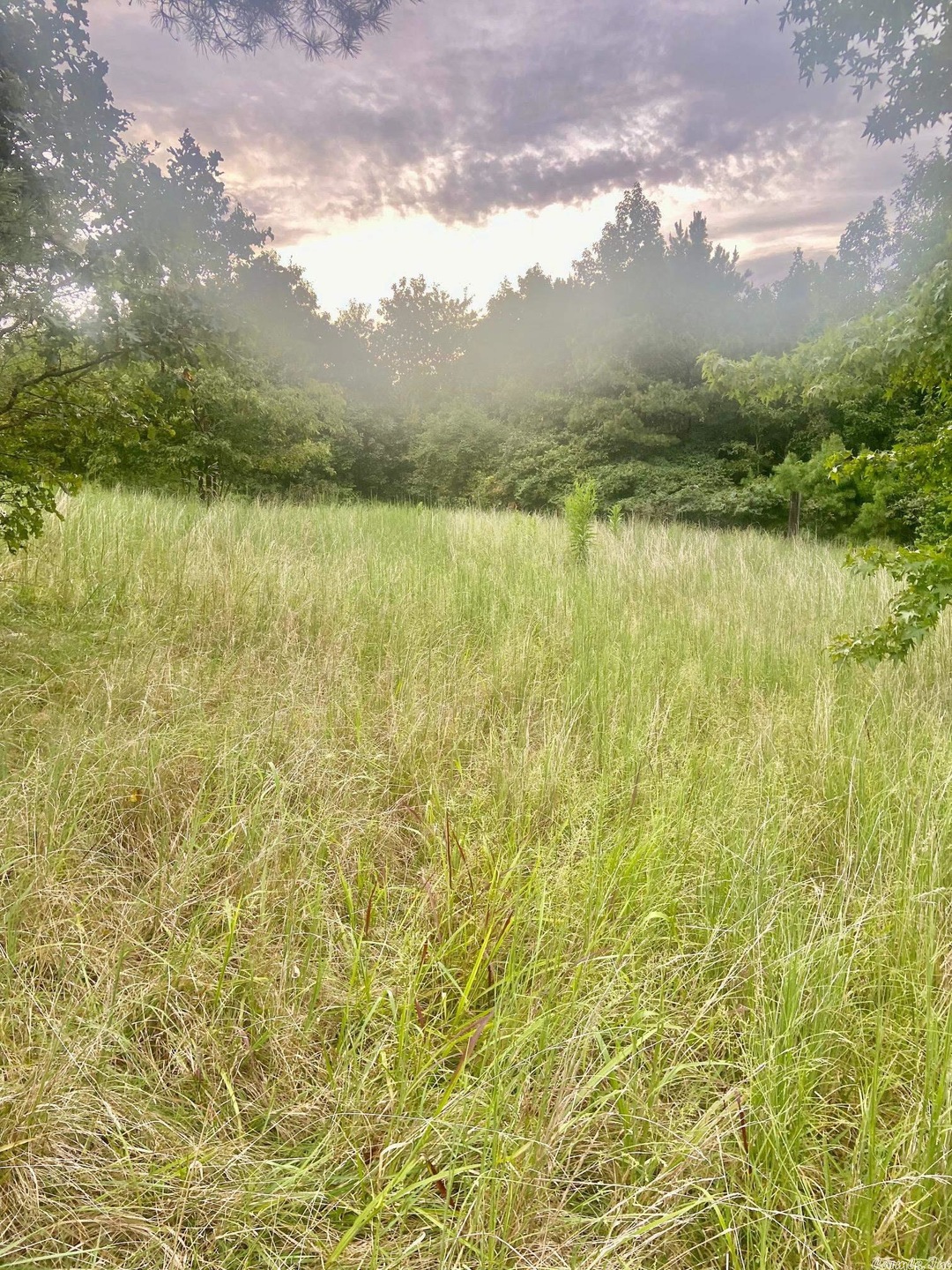 2053 Greene 624 Rd, Paragould, AR 72450 - photo 1