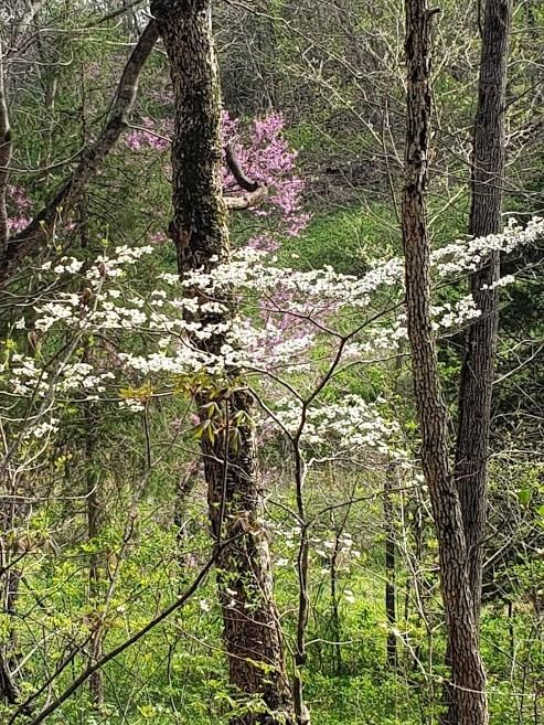 12 Otley Ln, Bella Vista, AR 72714 - photo 1