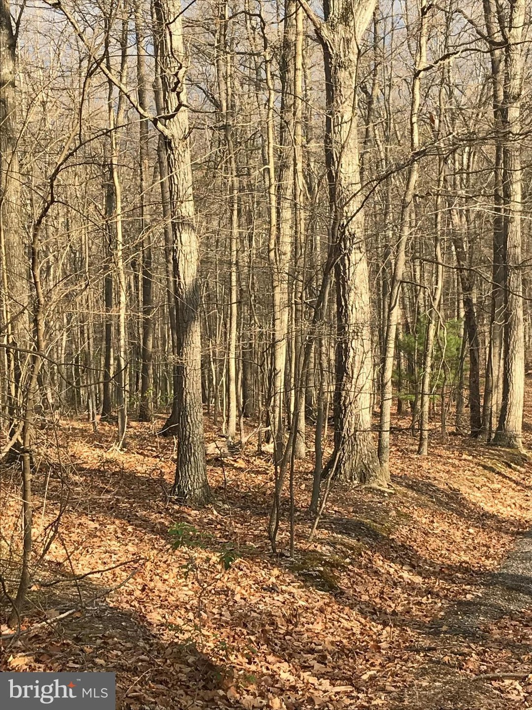 0 Timberlane Ridge unit 1000411928, Star Tannery, VA 22654 - photo 1