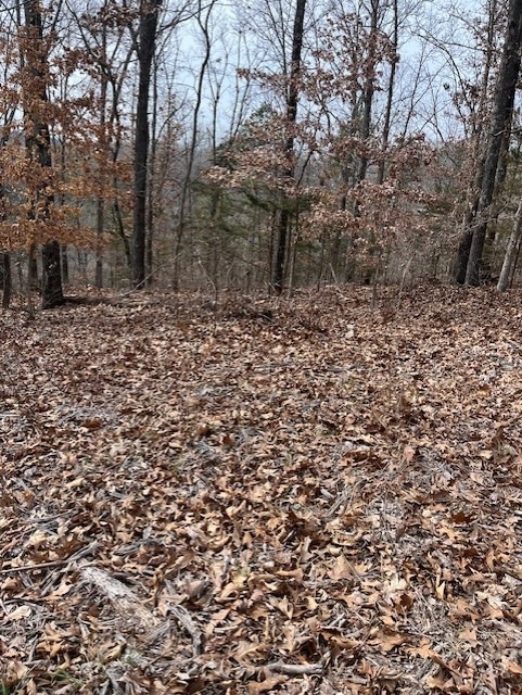 0 Pickering Dr unit 1266766, Bella Vista, AR 72714 - photo 1