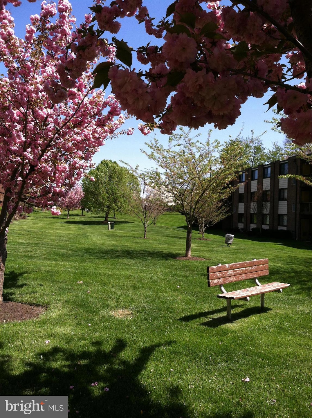 10722 West Dr unit 202, Fairfax, VA 22030 - photo 1