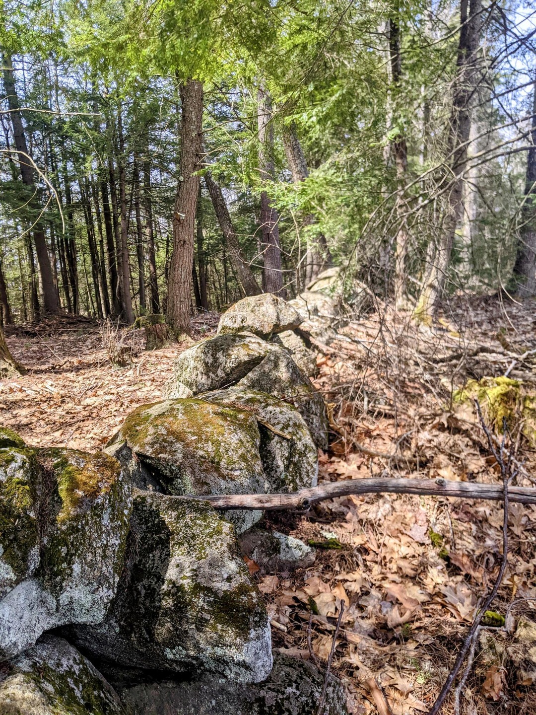 TBD Penney Rd, New Gloucester, ME 04260 - photo 1