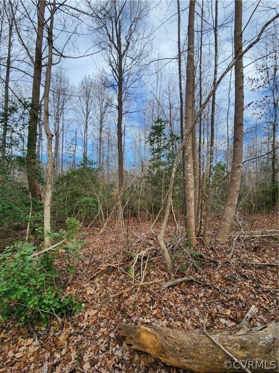 Wooded land
