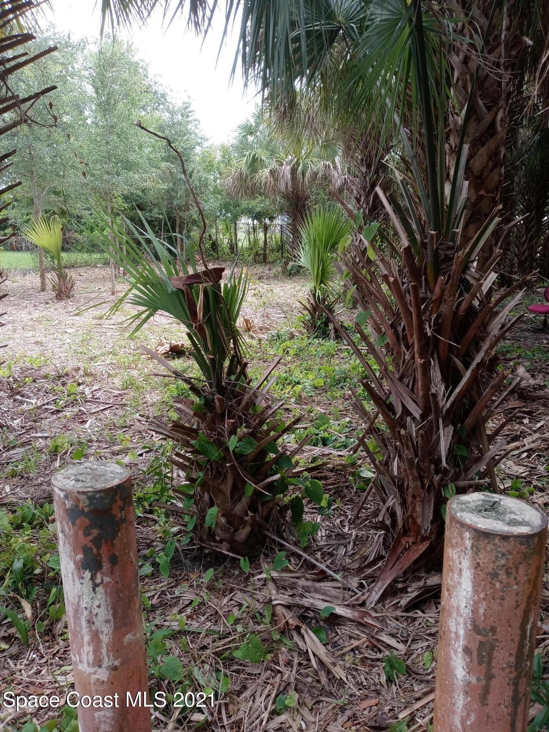 636 Donley St, Cocoa, FL 32922 - photo 1