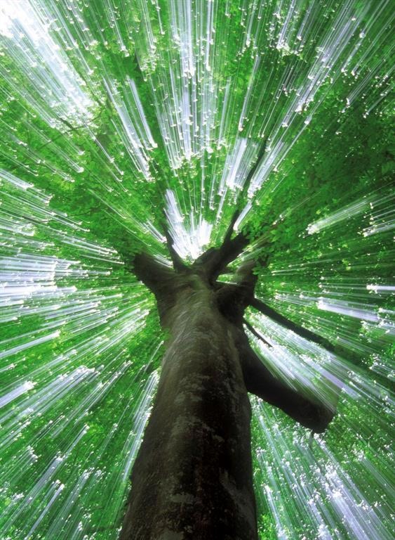 0 9th St, Covington, LA 70433 - photo 1