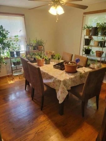 Sold $229,999 • Co-Listing Agent