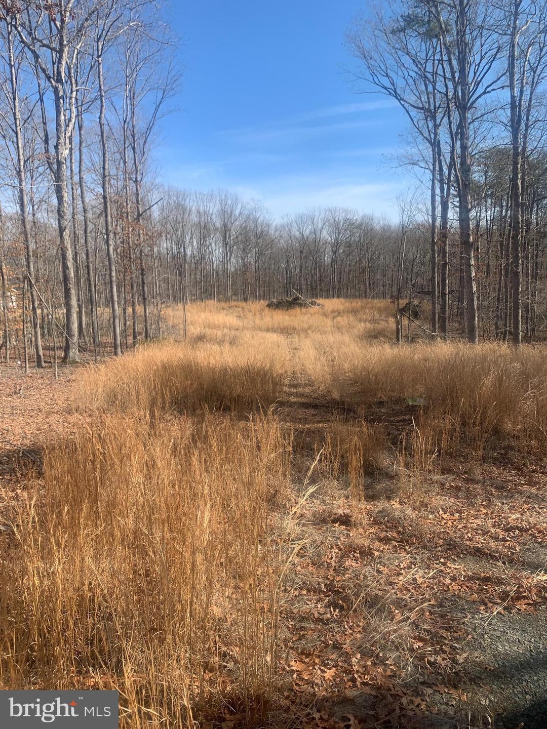 Lot C1 Cox Mill Rd, Orange, VA 22960 - photo 1