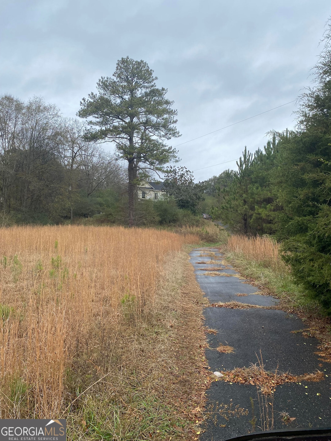 1020 Morgan Valley Rd, Rockmart, GA 30153 - photo 1