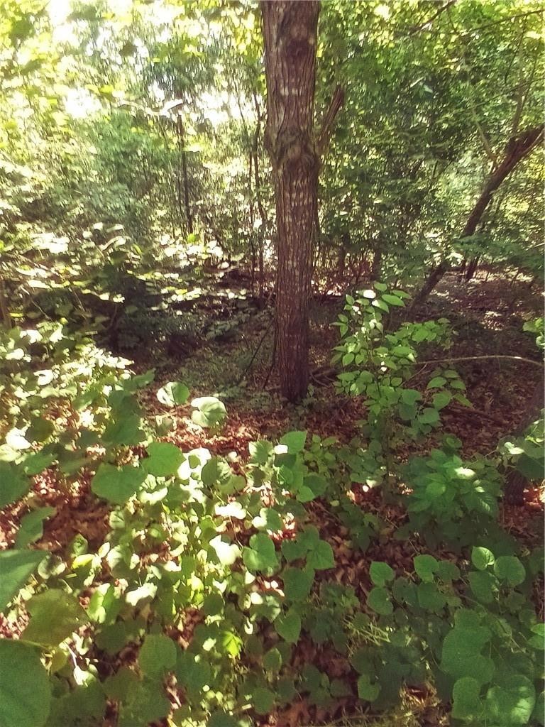 0 Pimlico Cir, Bella Vista, AR 72715 - photo 1